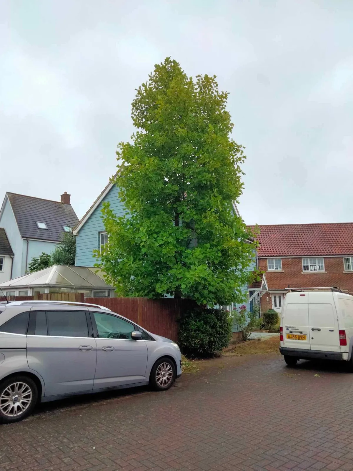 A cherry picker set up beside a house, with cut branches piled on the drive