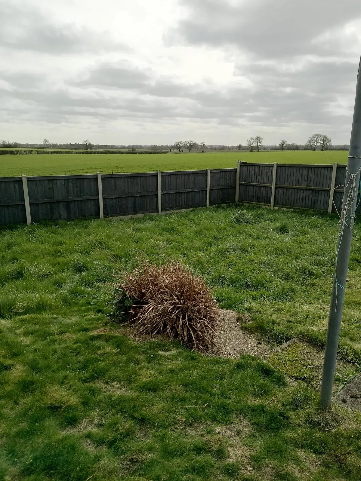 A rectangle of freshly laid turf in a garden