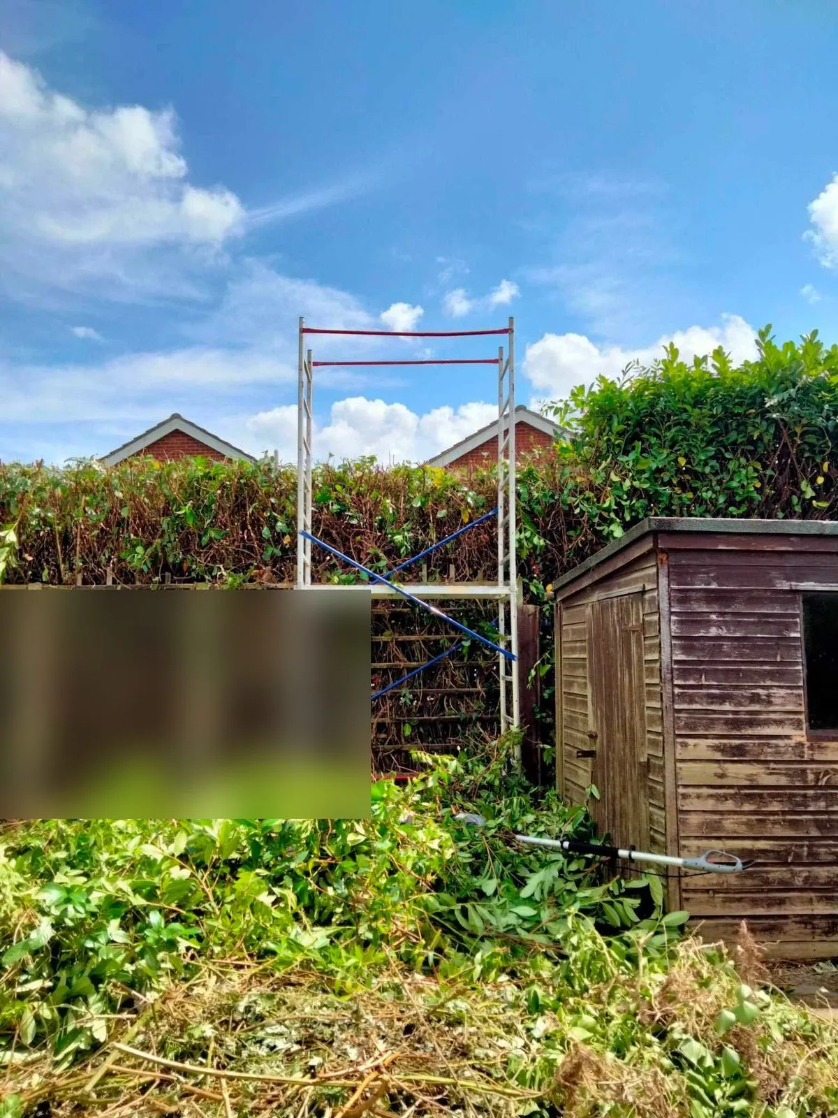 A works van on the drive of a house wrapped in blue cladding, before tree cutting